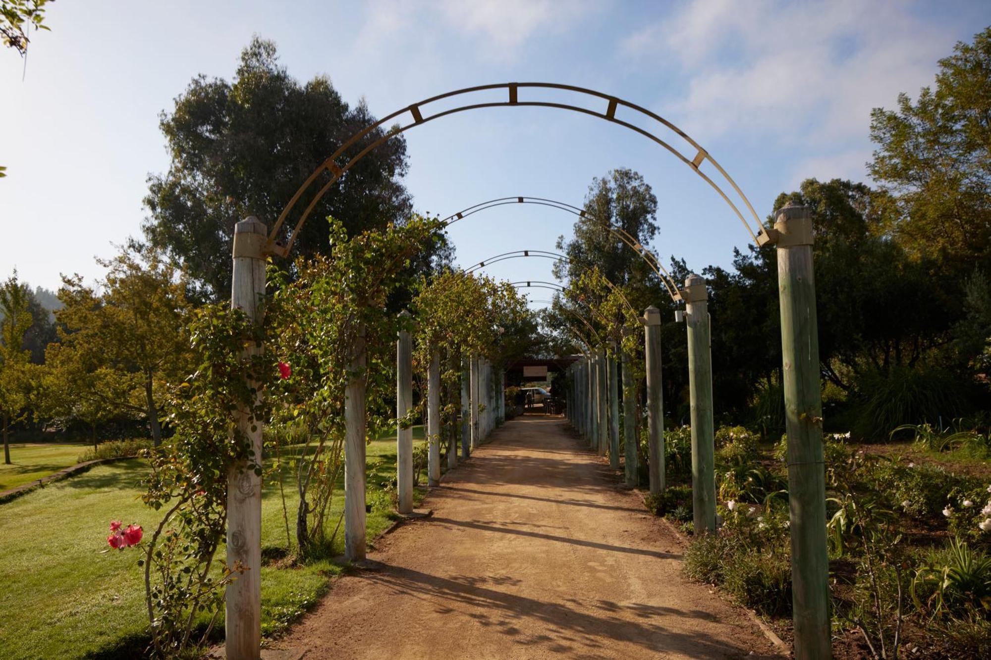 Gasthaus La Casona At Matetic Vineyards Lagunillas Exterior foto